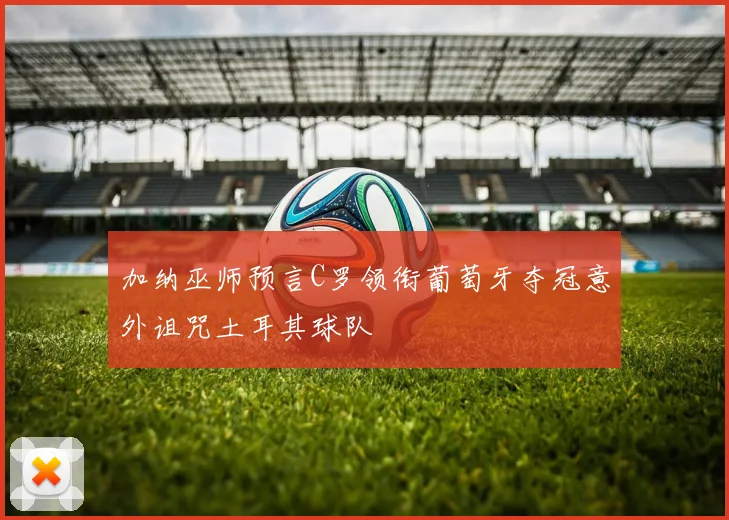 加纳巫师预言C罗领衔葡萄牙夺冠意外诅咒土耳其球队