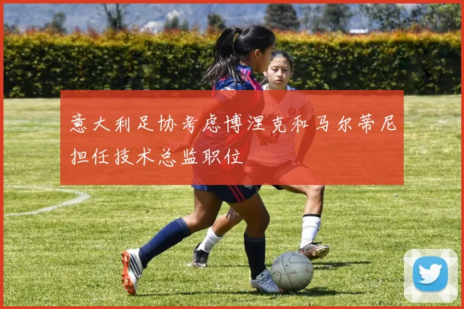 意大利足协考虑博涅克和马尔蒂尼担任技术总监职位